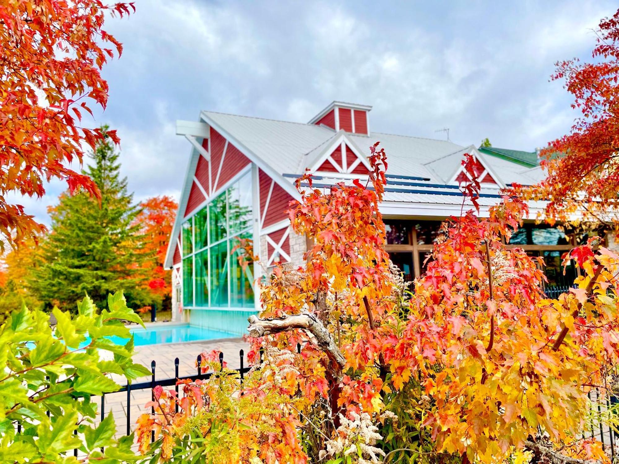 Hillside Haven: Carriage Club Resort Retreat Edgar Экстерьер фото